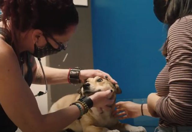 Big Easy Animal Shelter photo