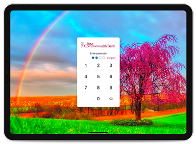 Ipad Black Passcode Reduced