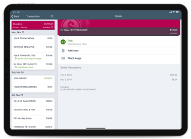 Ipad Black Transactions Checking List
