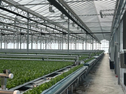 Fresh N Crisp Farms Image